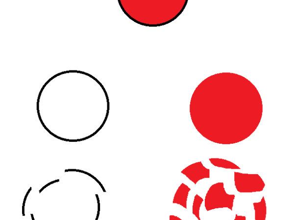 The trees in the&nbsp;forest